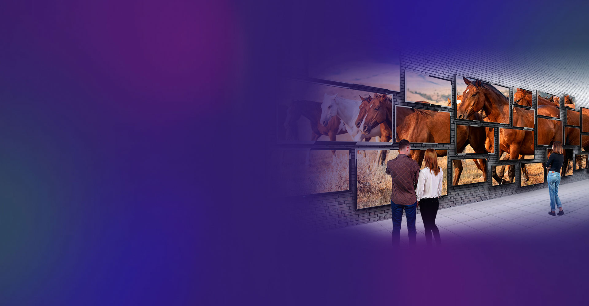 A couple standing in front of a multi-screen video wall showing wild horses running in fields across several tvs