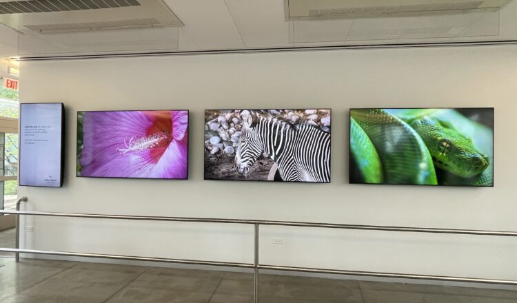 Lincoln Park Zoo digital signage by BrightSign and Peerless-AV