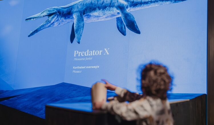 RFID-enabled digital signage display at the Svalbard Museum, powered by BrightSign