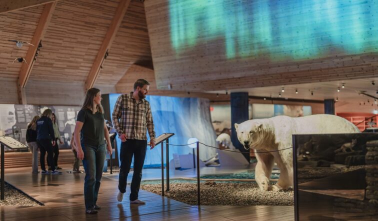 Dual projection digital signage display at the Svalbard Museum, powered by BrightSign