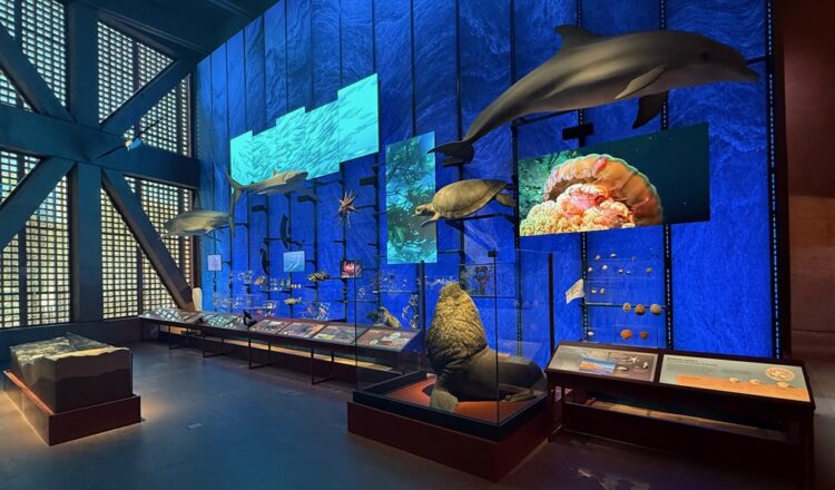 Exposición en el Museo Regional de Atacama de Chile que utiliza la señalización digital para crear una experiencia inmersiva para el visitante.